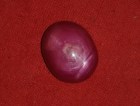 Quality red star Ruby cabochon of 13 carats for sale. 